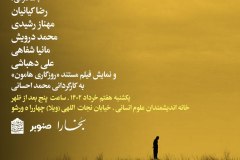 شب هامون