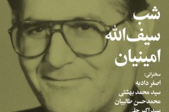 شب سیف الله امینیان