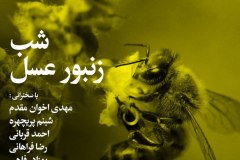 شب زنبور عسل 