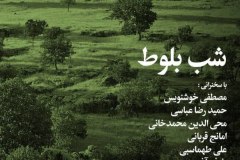 شب بلوط