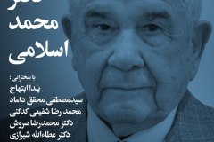 شب دکتر محمد اسلامی