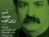 شب حمید زرین کوب