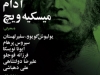 شب آدام میسکه ویچ