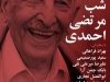 شب مرتضی احمدی