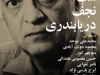 شب نجف دریابندری