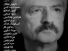 شب علیقلی ضیایی