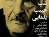 شب حبیب یغمایی