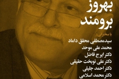 شب دکتر بهروز برومند