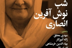 شب نوش آفرین انصاری