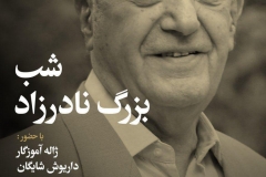 شب بزرگ نادرزاد