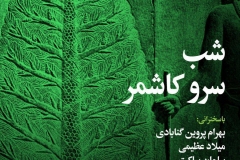 شب سرو کاشمر