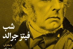 شب فیتزجرالد
