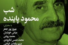 شب محمود پاینده