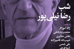 شب رضا نیلی پور