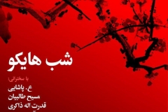 شب هایکو