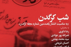 شب کرگدن