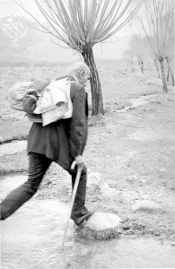 دکتر باستانی پاریزی در لاله زار ـ عکس از ایرج افشار 